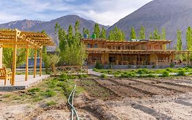 Nubra Ecolodge